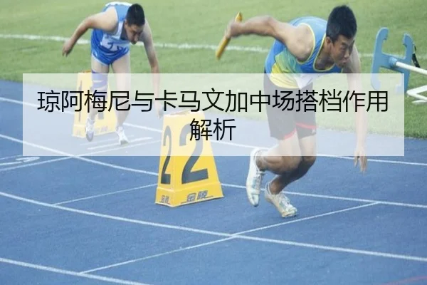 琼阿梅尼与卡马文加中场搭档作用解析